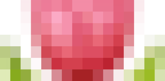 THAM DỰ HỘI NGHỊ THI ĐUA -KHEN THƯỞNG PHƯỜNG HẢI CHÂU